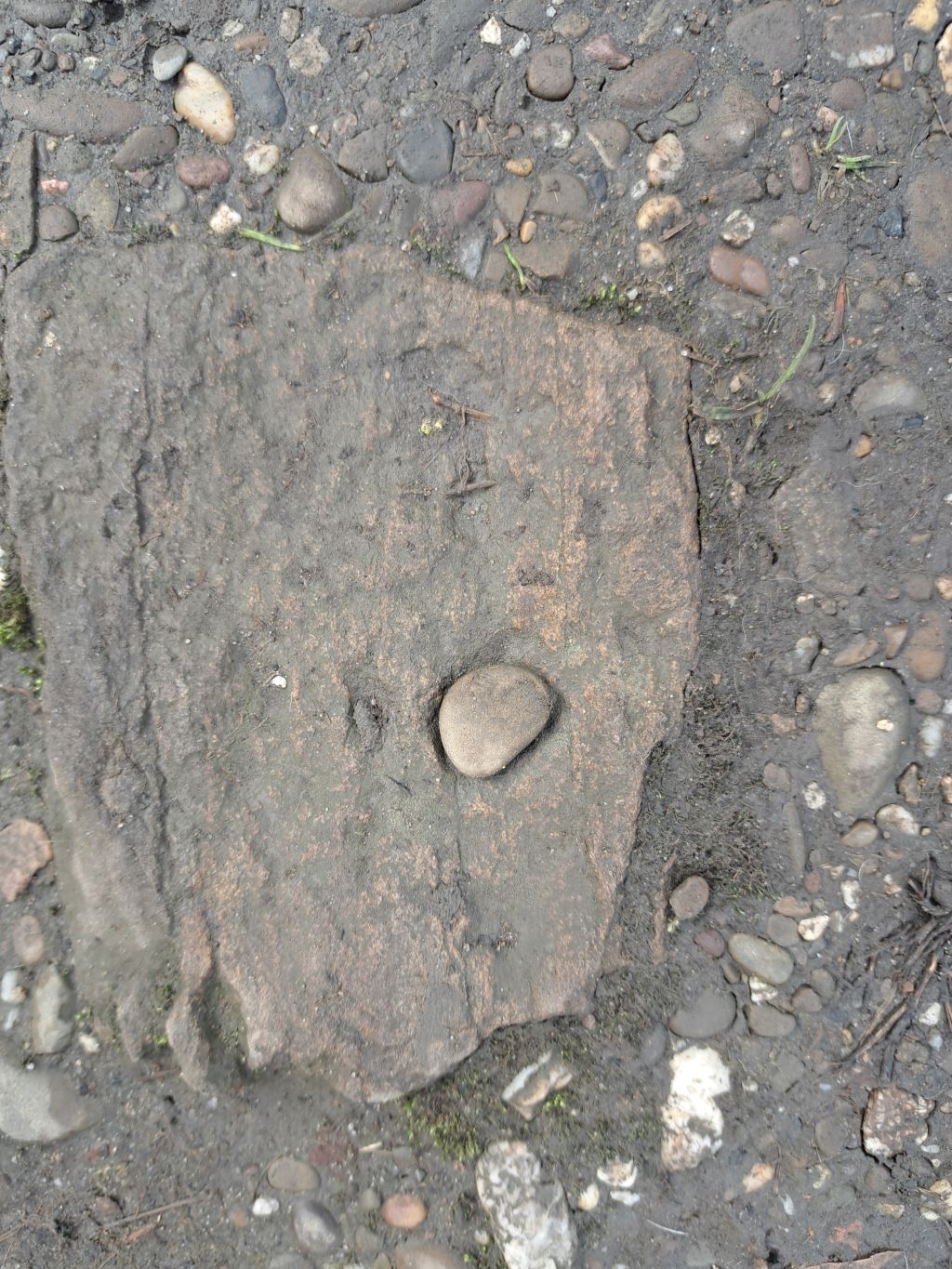 Ein Stein, der in einem Stein sein zu Hause gefunden hat.